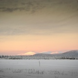 Jeris week 45 12-5754